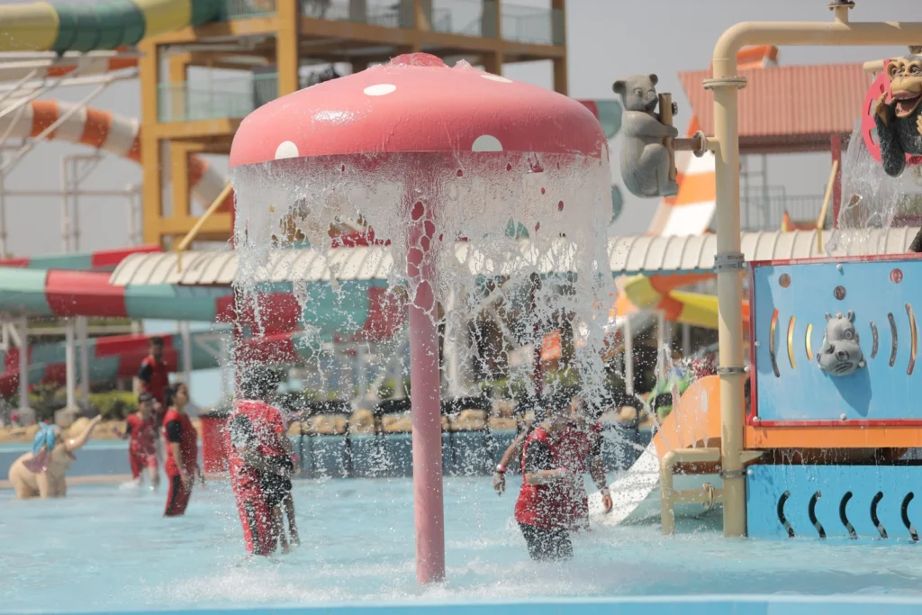 about banner scaled 1